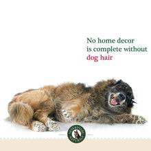 Load image into Gallery viewer, Omega Chews 6 Pack 45% Off