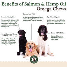 Load image into Gallery viewer, Omega Chews 6 Pack 45% Off