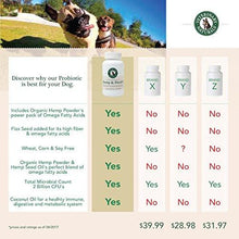 Load image into Gallery viewer, Hemp & Health