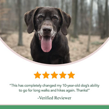 Load image into Gallery viewer, Daily Senior Overall Wellness 9 Pack 50% OFF