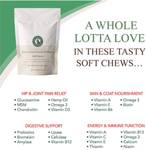 Load image into Gallery viewer, Daily Senior Overall Wellness 6 Pack