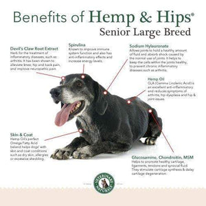 Hemp & Hips Senior Large Breed 9 Pack 50% Off