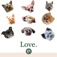 Load image into Gallery viewer, Hemp & Hips – Senior Small Breed 6 Pack 25% Off