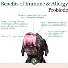 Load image into Gallery viewer, Immune & Allergy Chews 6 Pack 45% Off