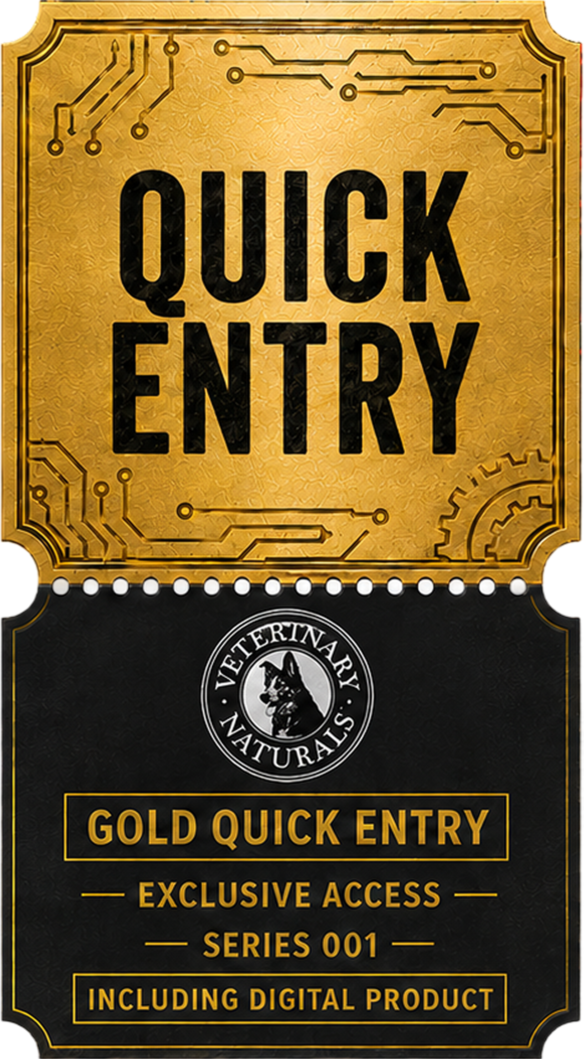 GOLD DIGITAL ENTRY