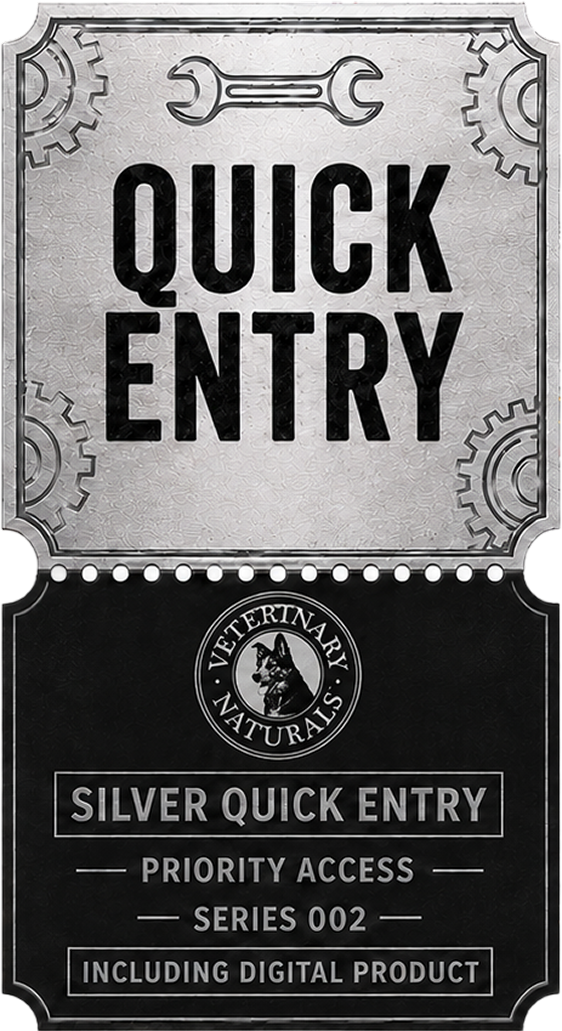 SILVER DIGITAL ENTRY