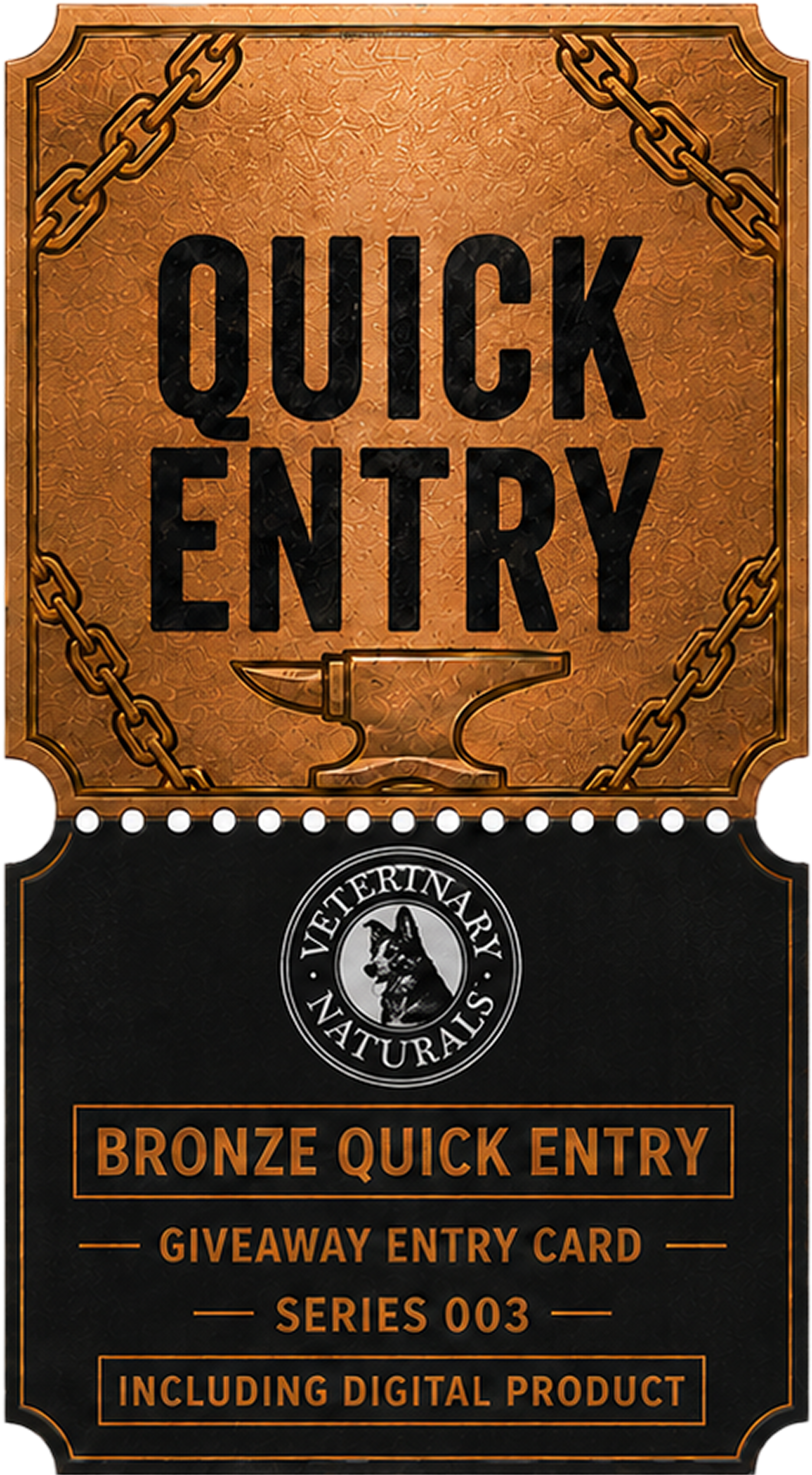 BRONZE DIGITAL ENTRY
