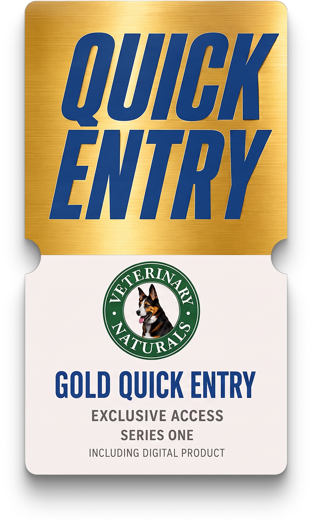 GOLD DIGITAL ENTRY