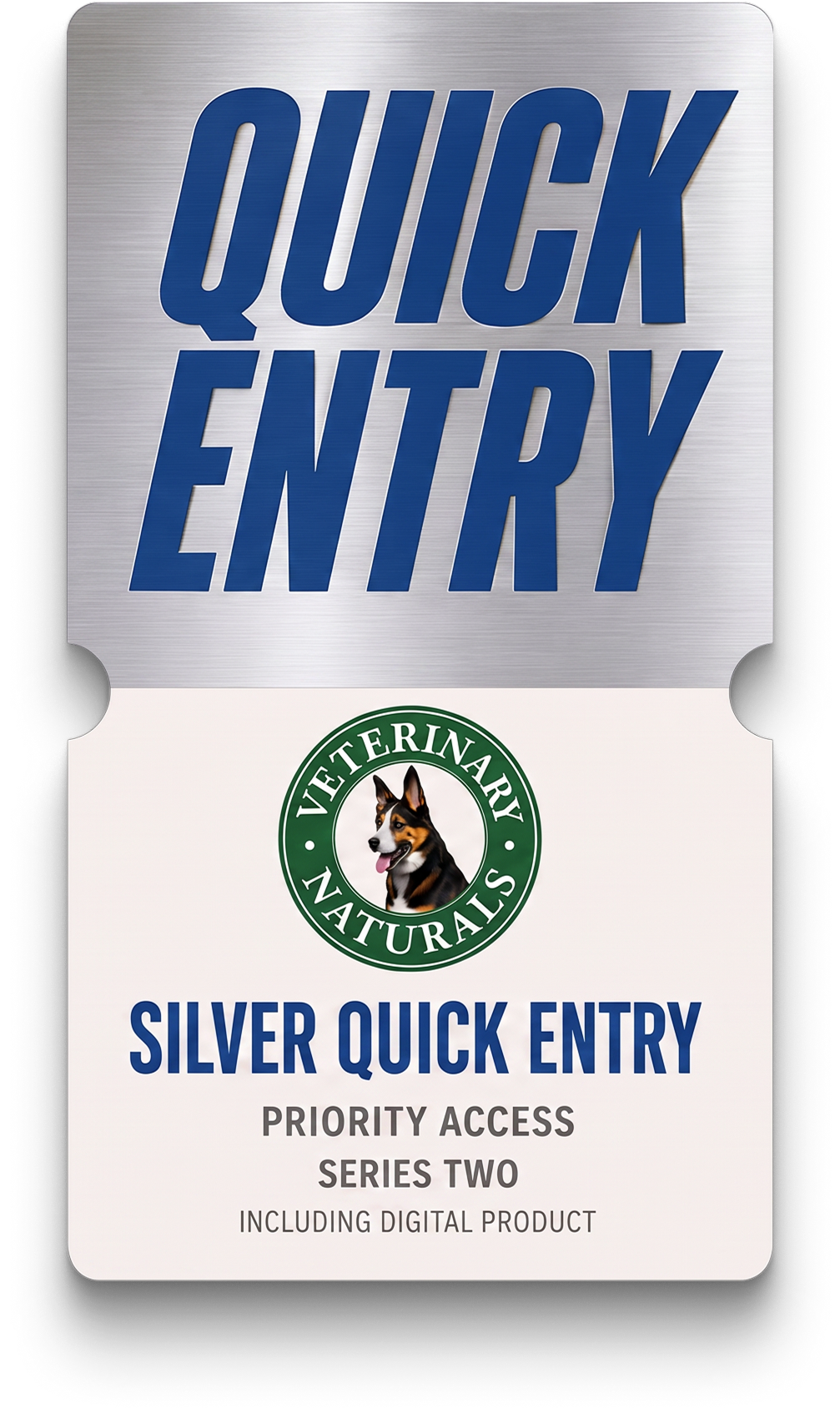SILVER DIGITAL ENTRY