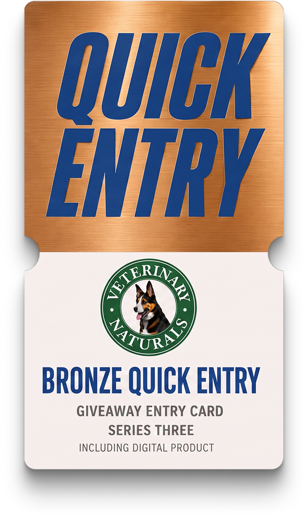BRONZE DIGITAL ENTRY