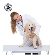 Lifetime Pet Insurance