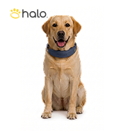 Halo
Collar GPS Protection