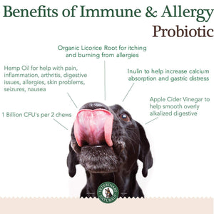 Immune & Allergy Chews 6 Pack