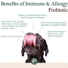 Load image into Gallery viewer, Immune &amp; Allergy Chews 3 Pack 45% Off
